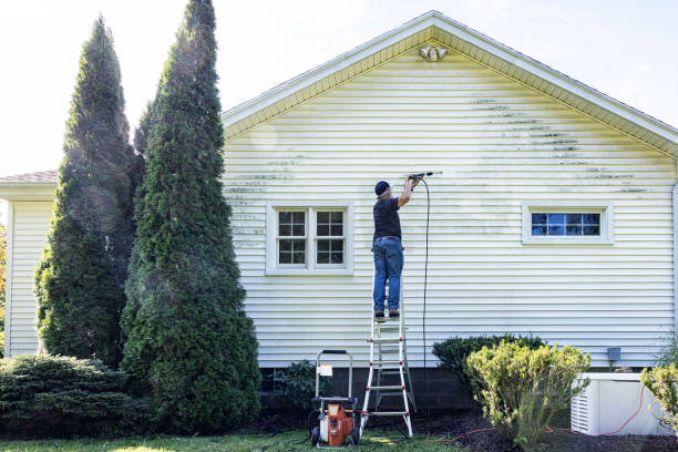 Best Deck Cleaning Services  in Ashley, PA
